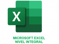 EXCEL INTEGRAL E-LEARNING
