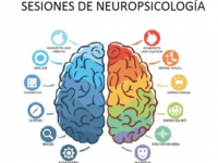 Sesiones de neuropsicología